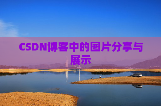 CSDN博客中的图片分享与展示
